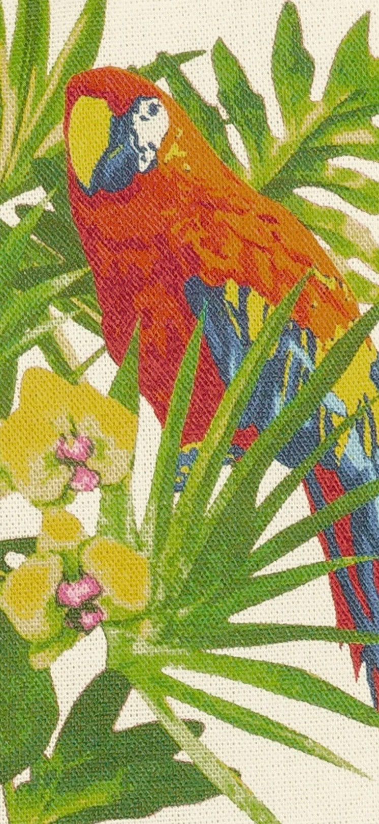 The Island Muse Top 🦜